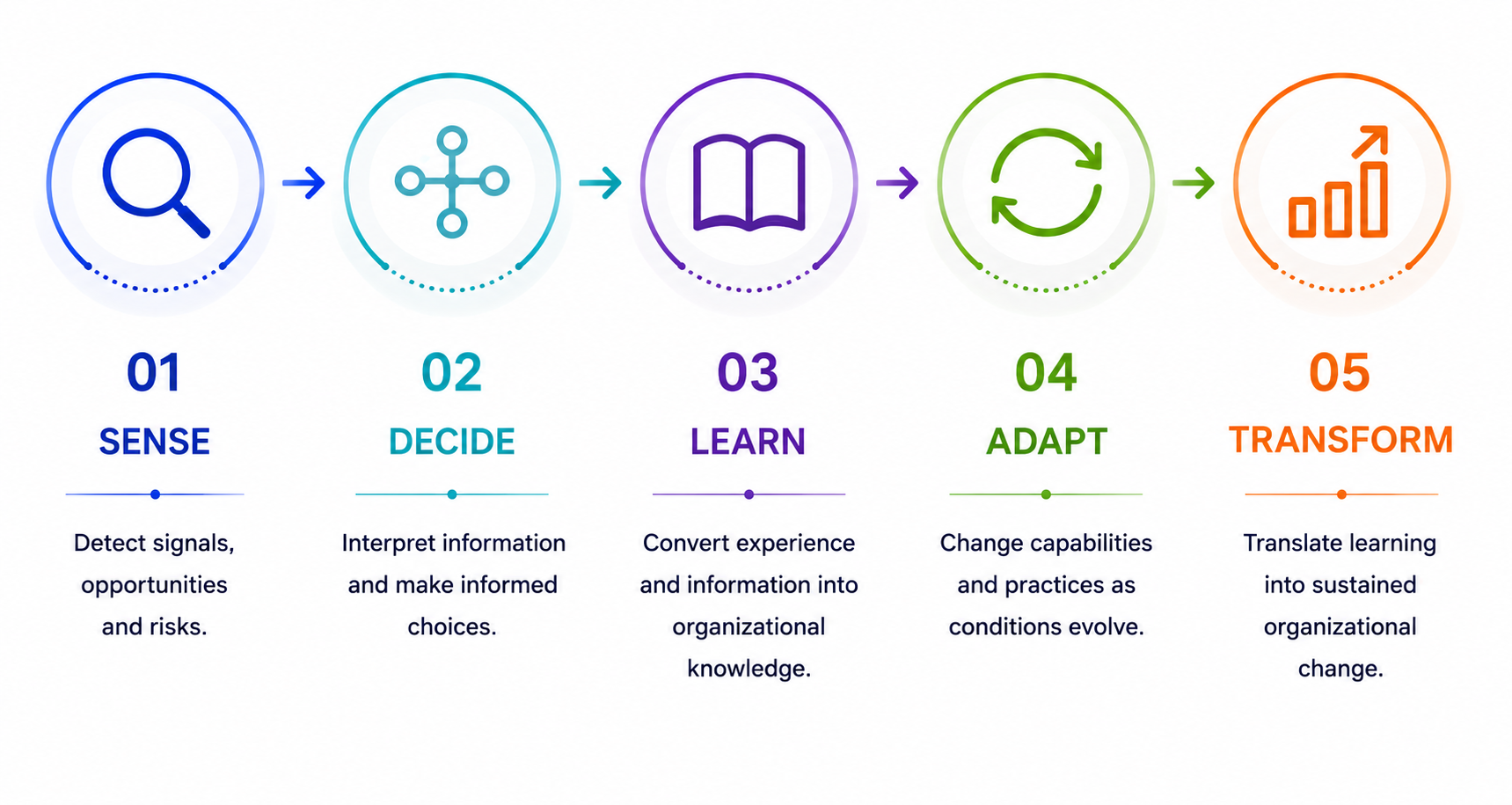 What makes an organization intelligent: sense, decide, learn, adapt, transform